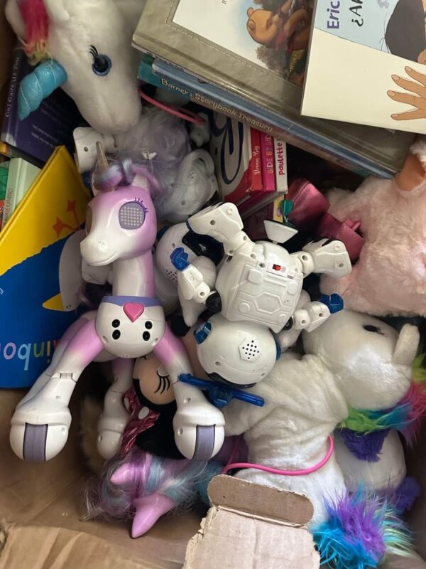 TOY PALLET SALES