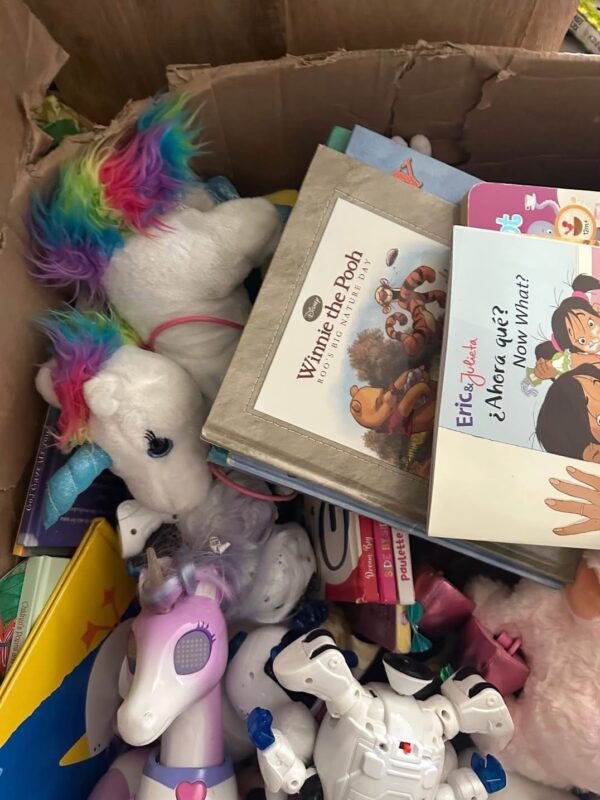 TOY PALLET SALES