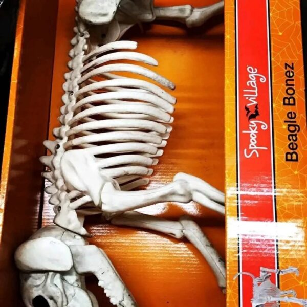 Wholesale Halloween Closeouts pallets
