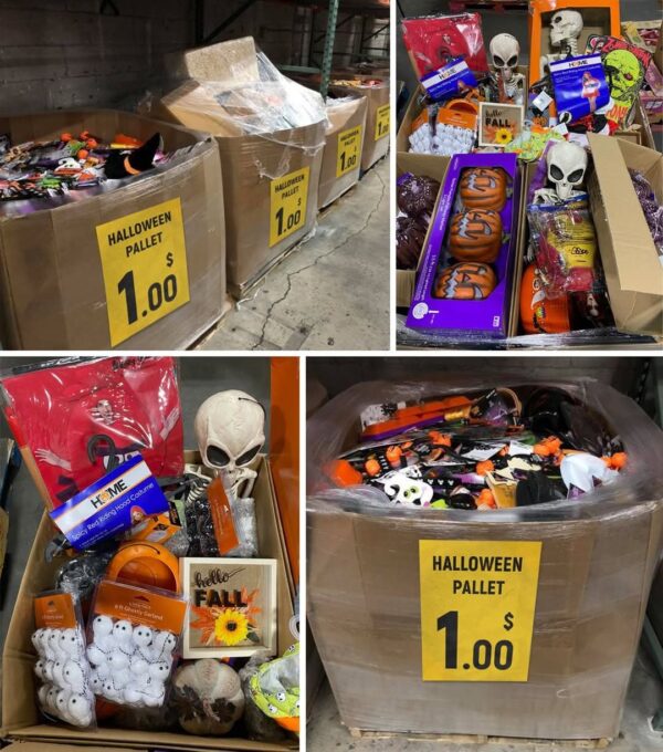 Wholesale Halloween Closeouts pallets