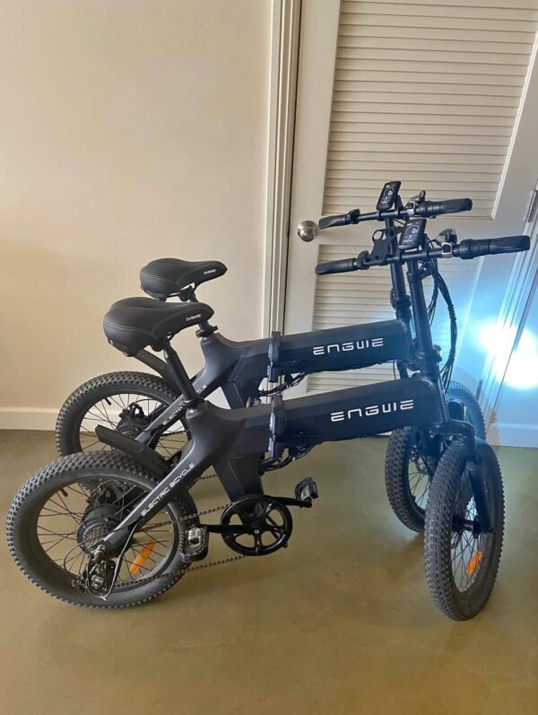 Engwe C20 PRO Electric Bike Pallet