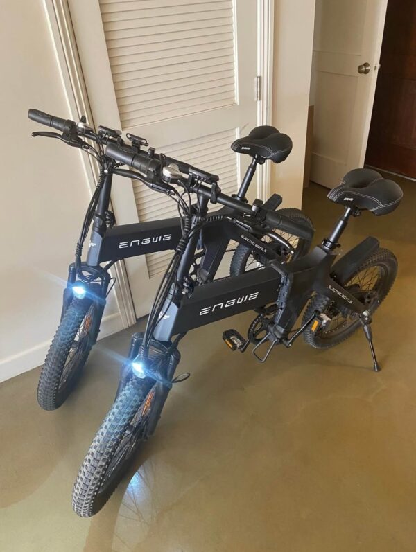 Engwe C20 PRO Electric Bike Pallet