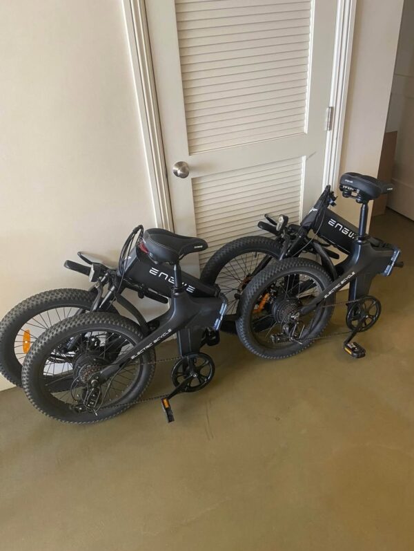 Engwe C20 PRO Electric Bike Pallet