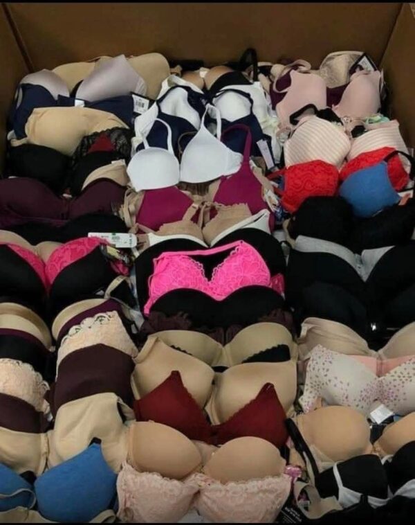Mixed Brand Name Bras