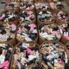 Summer Shoes Mixed Pallet